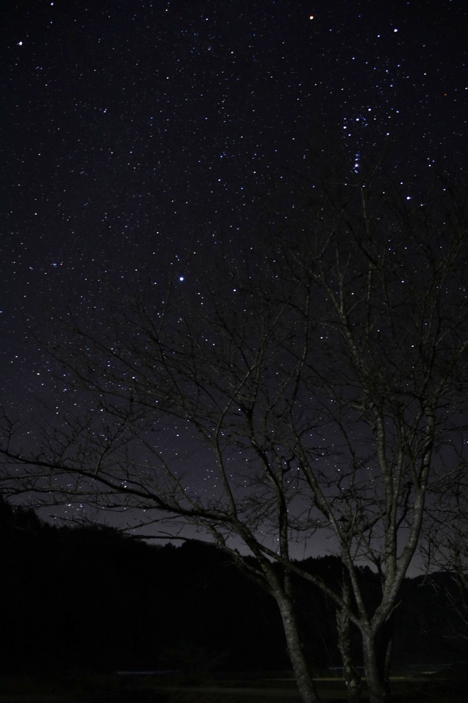 津山の星空