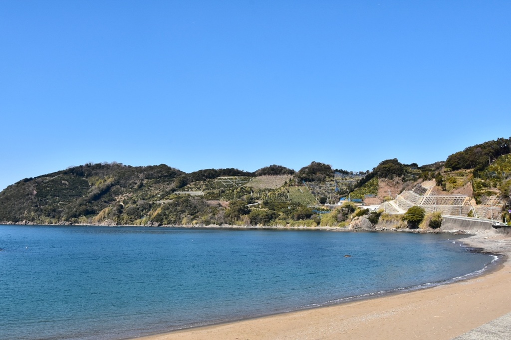 有田のミカン山と海～♪(*´∀`)♪