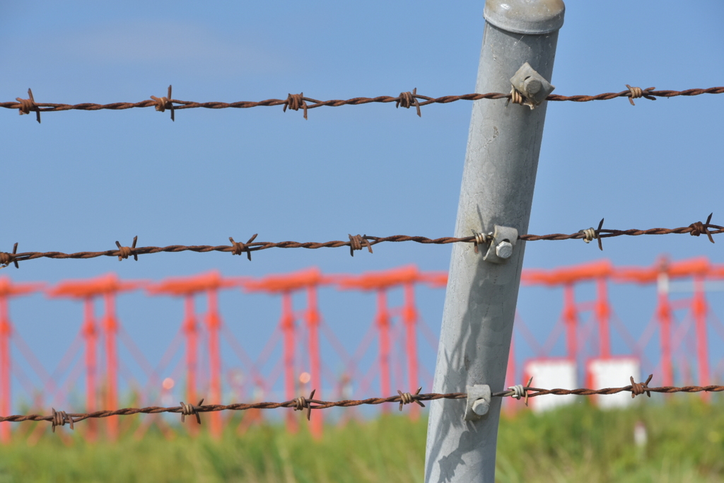 ついつい…(￣∇￣*)ゞ