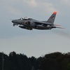 t-4ですが、オジロです！