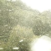 今日の吹雪…･*:.｡.･*:.｡.･*:.｡