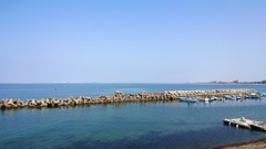 蒼い海～｡. •*¨*•♬✧