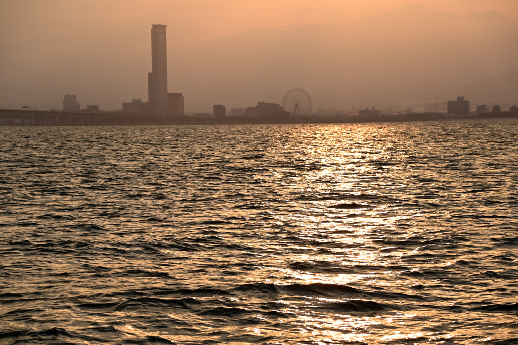 海からの景色