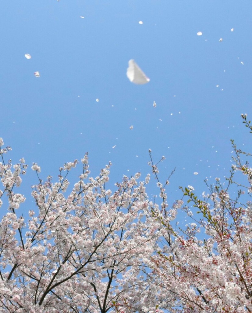 逃避行～♪(*´∀`)♪