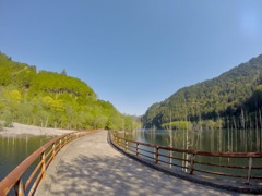 新緑の自然湖