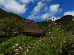 DSCN0845　美山の空