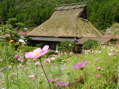 DSCN0612　美山の風景