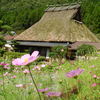DSCN0612　美山の風景