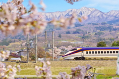 蔵王と桜と新幹線