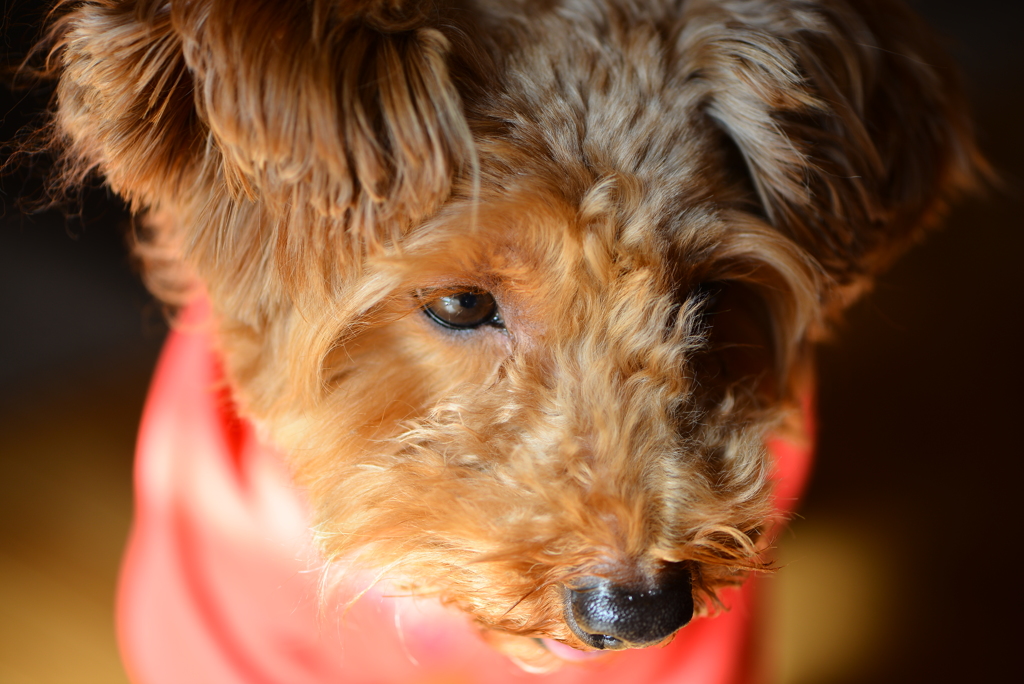 見つめるさきに…