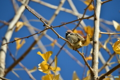 当たり前が一番幸せ