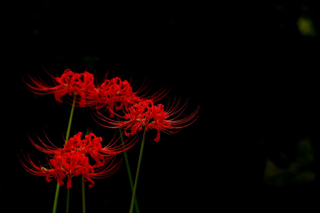 暑さ寒さも彼岸まで