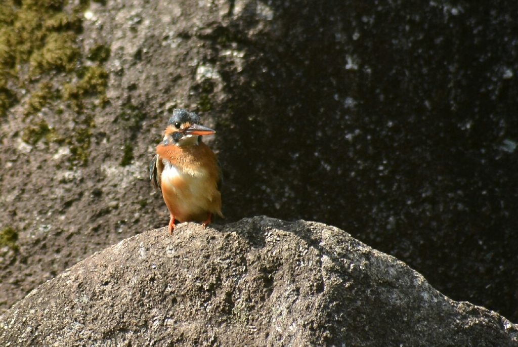 ジロジロ見ないでよ！あの美容師へったくそ！！