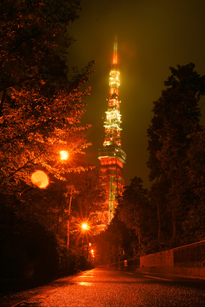 夜に灯る