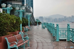 雨の散歩道