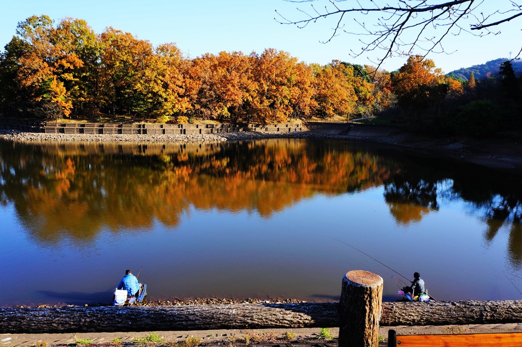 立岡自然公園 紅葉と釣り人 By そら模様 Id 写真共有サイト Photohito