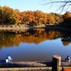 立岡自然公園　紅葉と釣り人