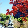 行幸橋の加藤清正公像と赤いハナミズキ