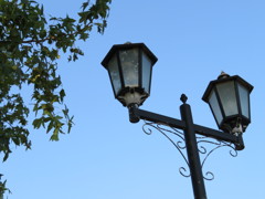 三角西港　街灯に映る木の葉