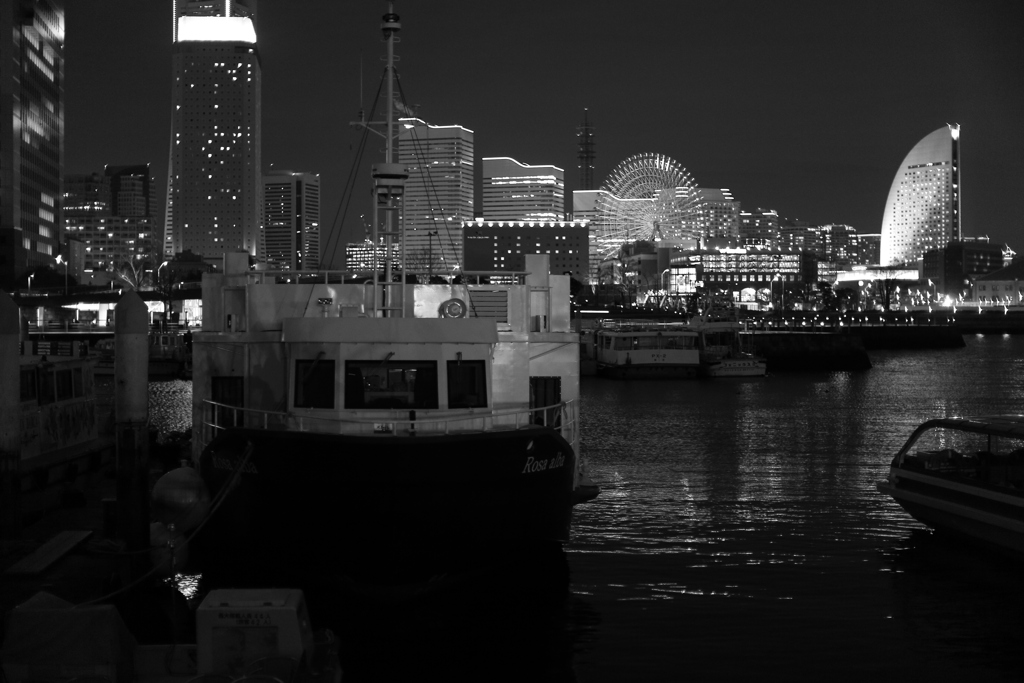 ヨナヨナヨコハマ