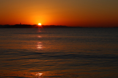 久しぶりねのアサヒング