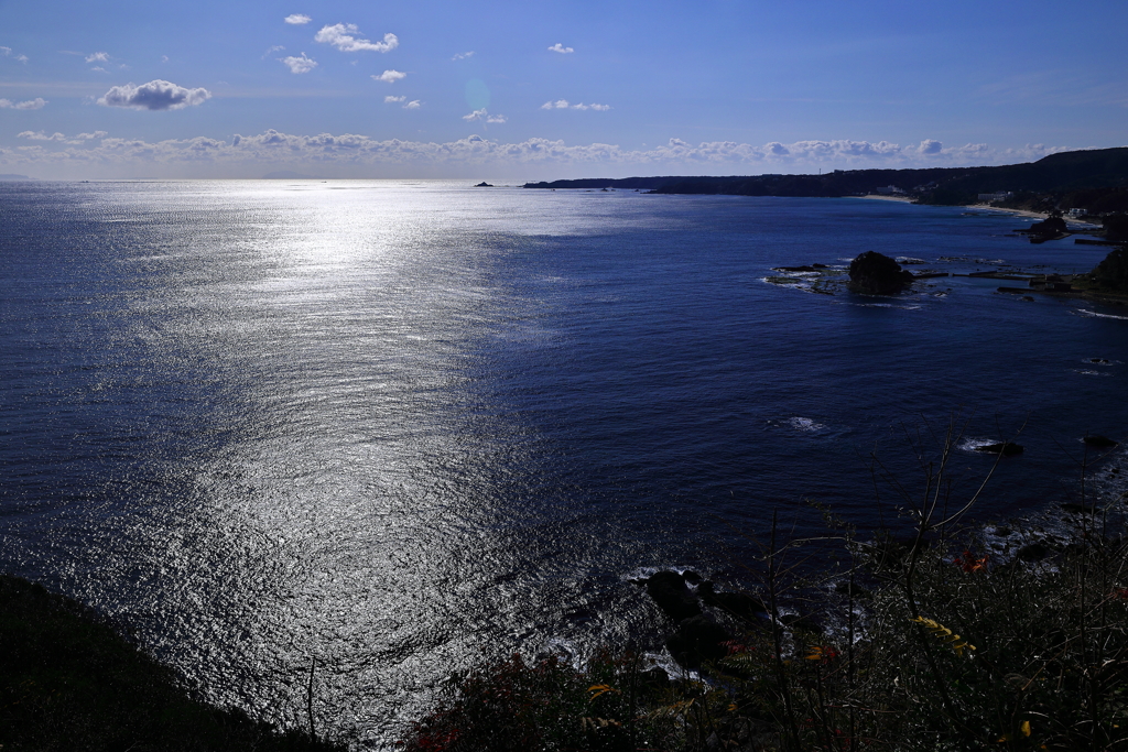 光っていた海