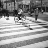 35ⅬⅡで撮るモノクロ