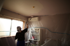 Splatoon　ローラーの使い手