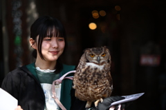 N氏からのリクエスト