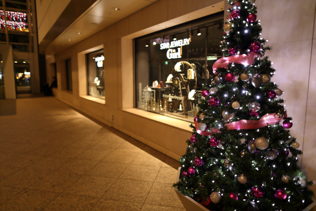 クリスマス、始まってますね。
