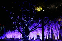Blue LED2