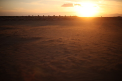 砂浜で砂を撮る