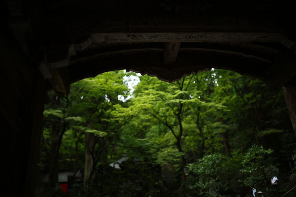 溶かした緑