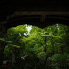 溶かした緑