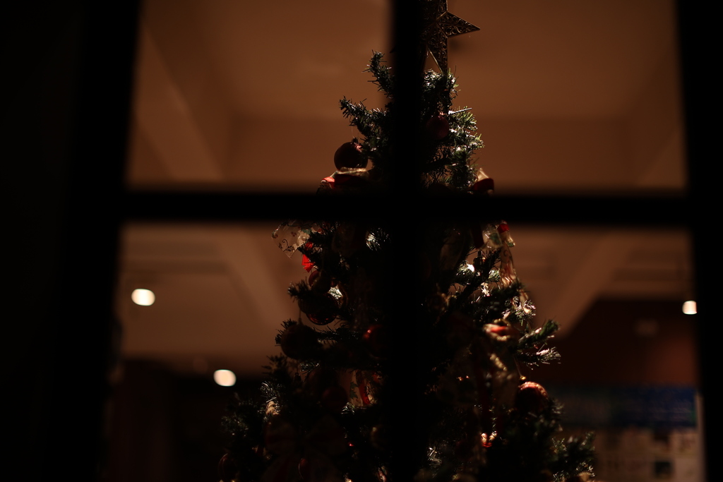 冷蔵庫の中のクリスマス