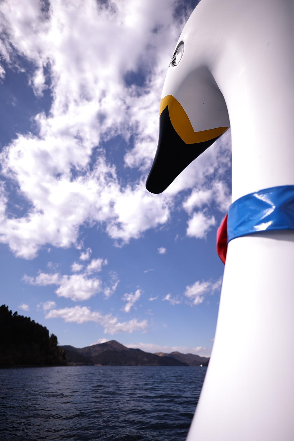 船上からの景色