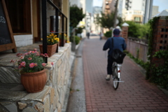 涼風吹き抜ける