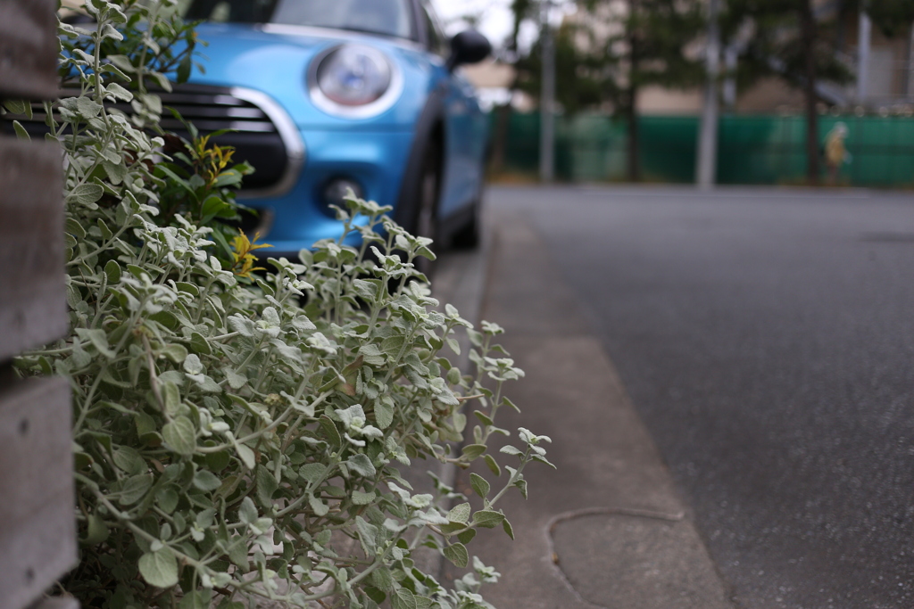 EF40mmF2.8STM