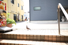 タンメンを一杯