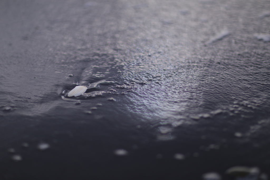 秋の砂浜で