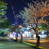 街角の夜桜