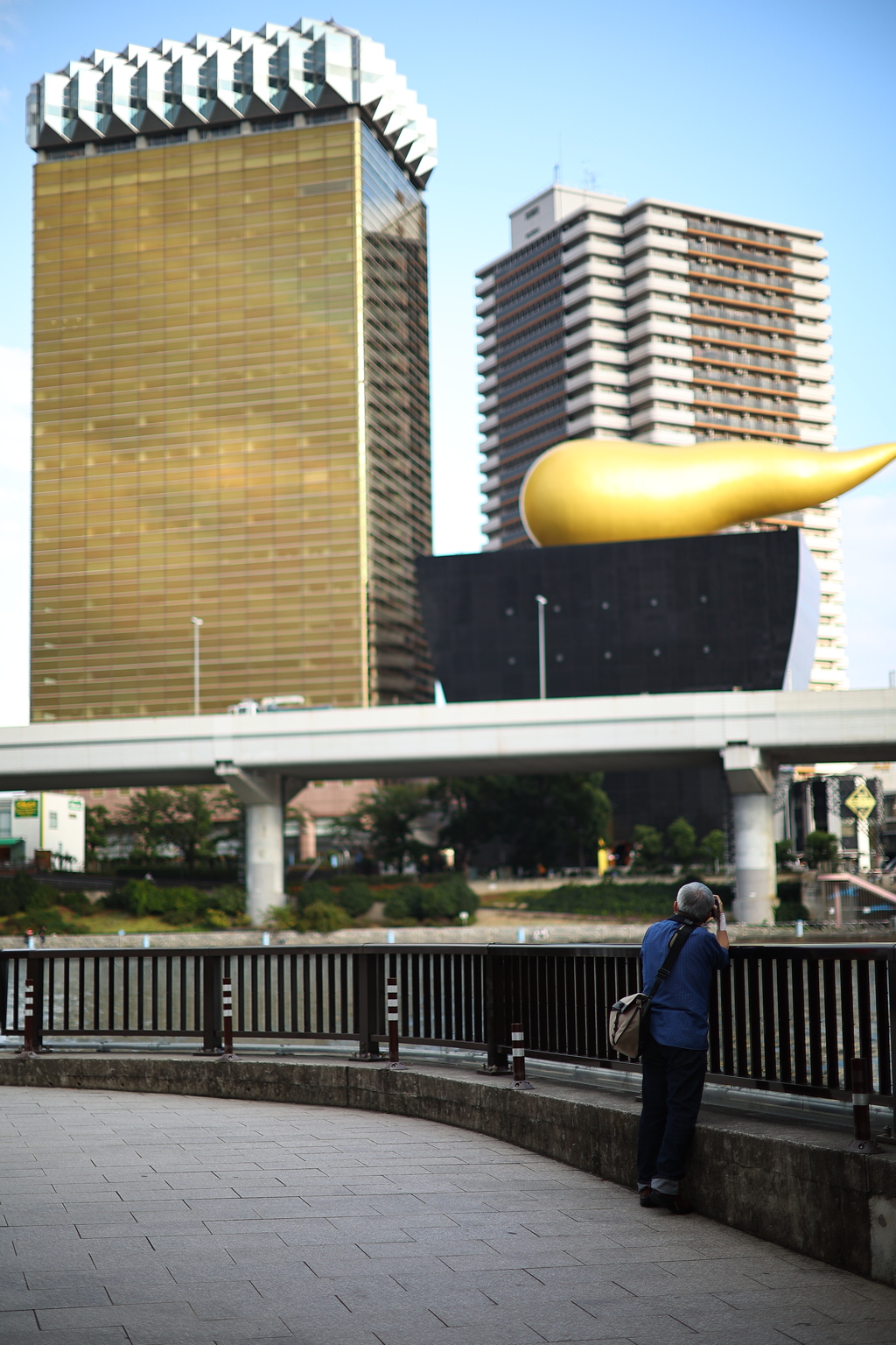 金色のあいつを