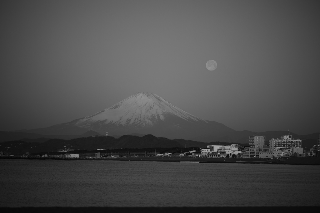振り返ると