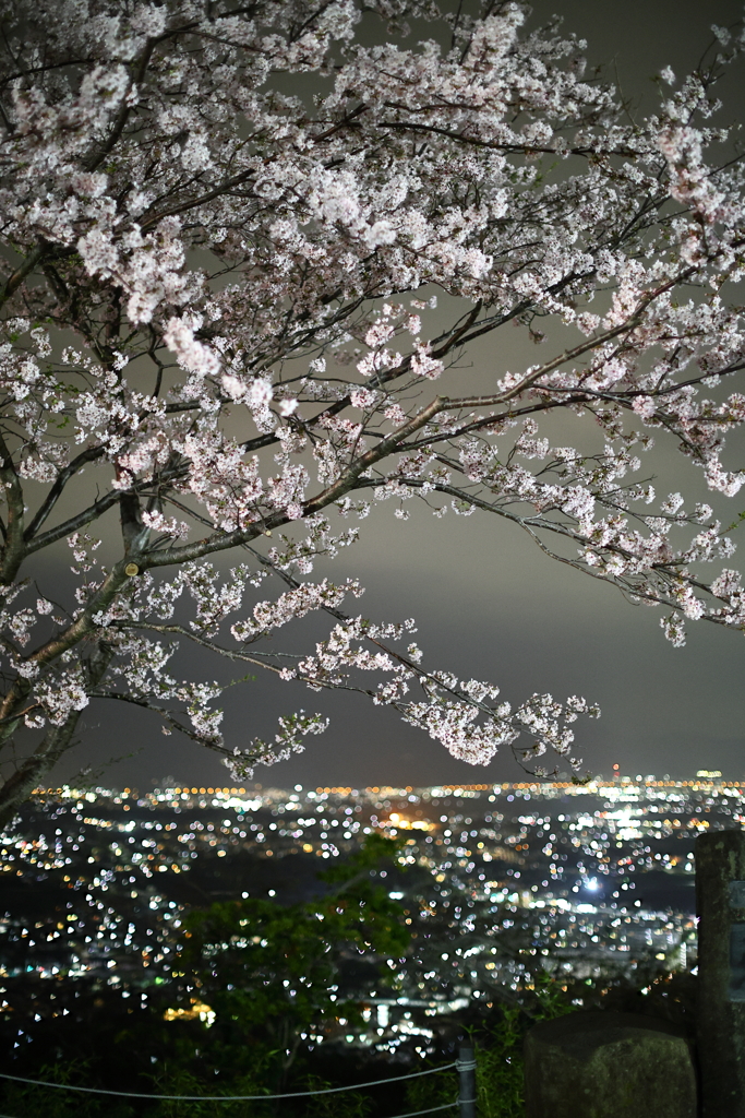 咲く花に