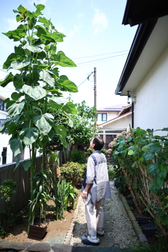 So huge summer