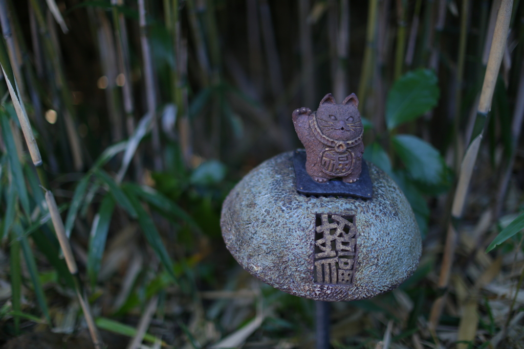 今年も。来年も。