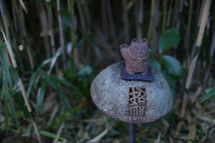 今年も。来年も。