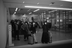 帰って来たポップな娘