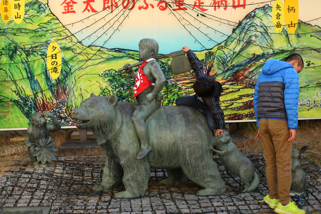 足柄山の金太郎に今年も