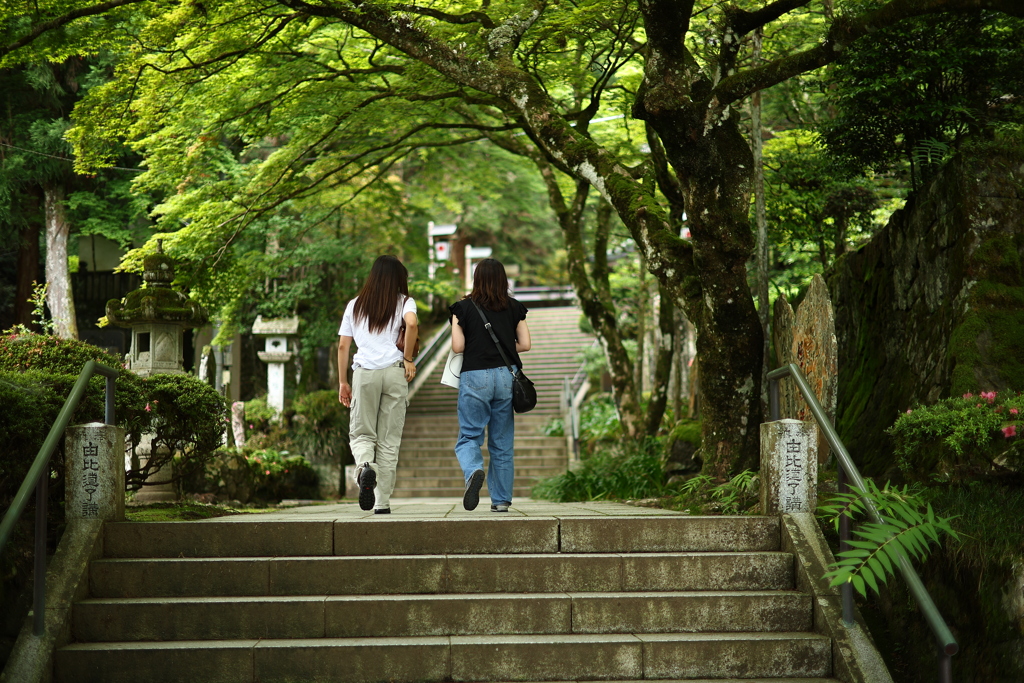 お礼